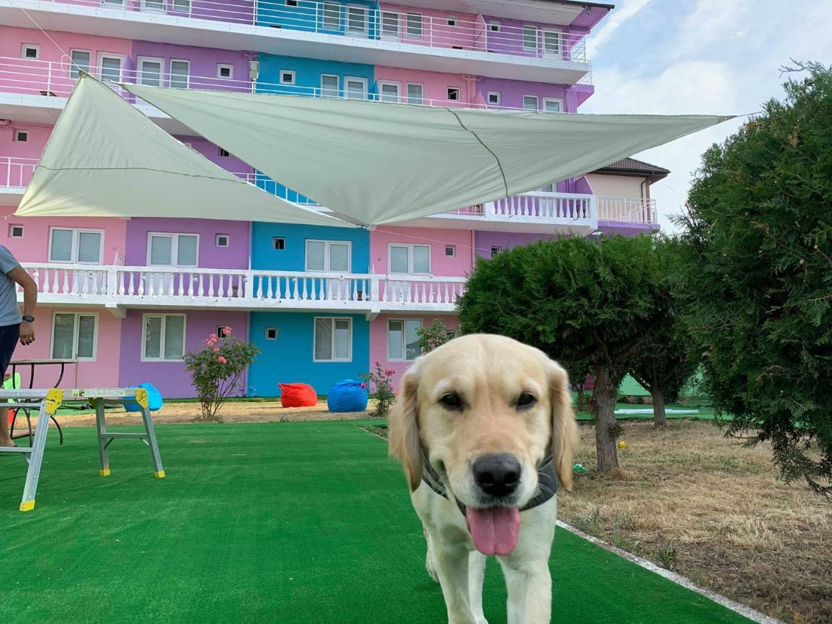 Casa Barbie Costinesti Hostel Екстериор снимка